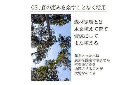 meet tree 空間リフレッシュセット F4N-3004