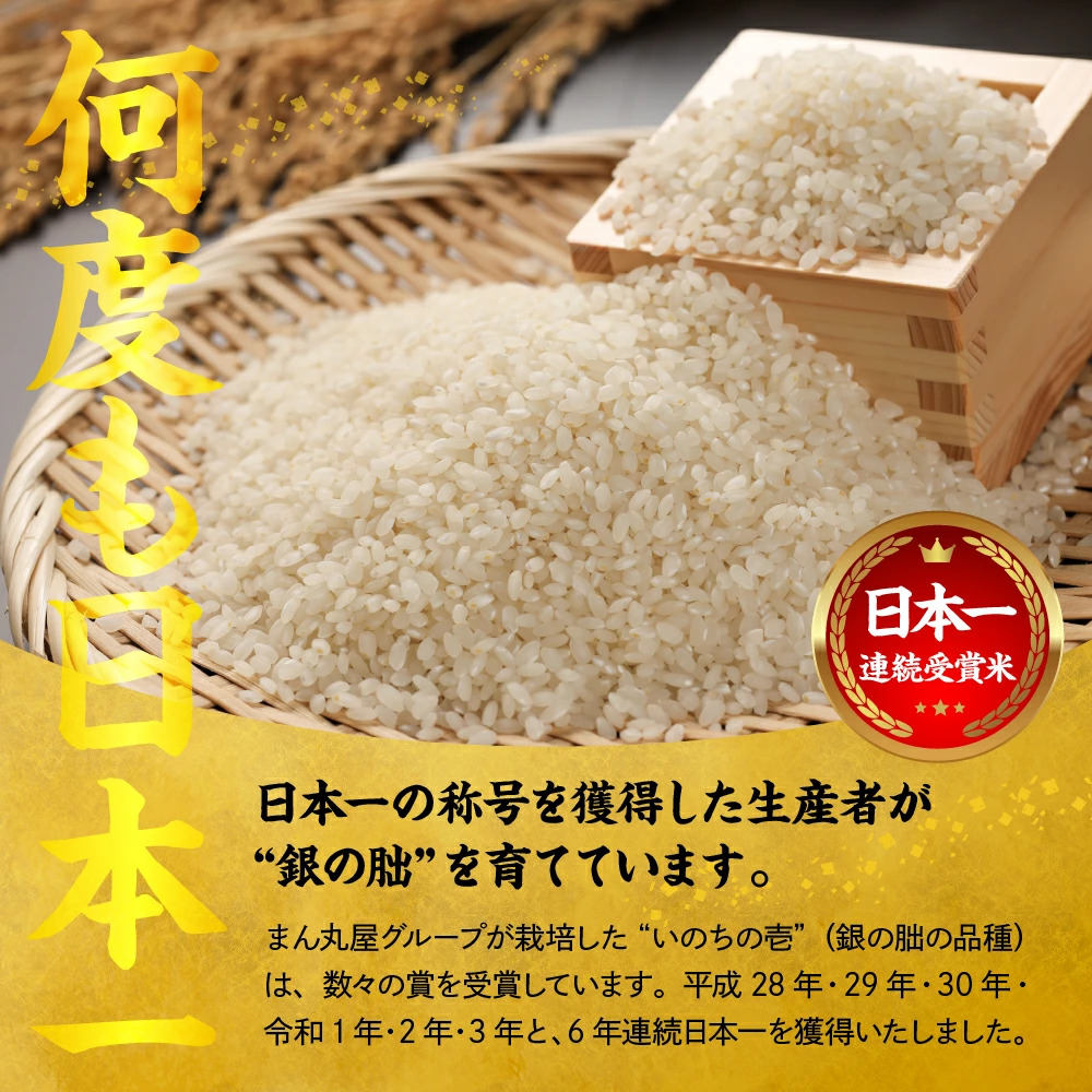 ＜テレビで紹介されました！＞令和8年産 新米 【全3回定期便】皇室献上米『銀の朏』1kg 中津川市加子母産 栽培期間中化学肥料不使用 お米 精米 F4N-2901