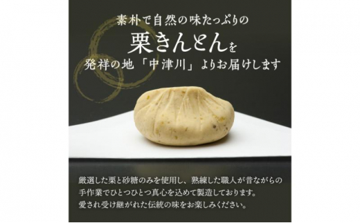 人気商品!! 中津川銘菓：栗きんとん20個（10個入×2箱）[秋季限定]【11月お届け】 F4N-2878