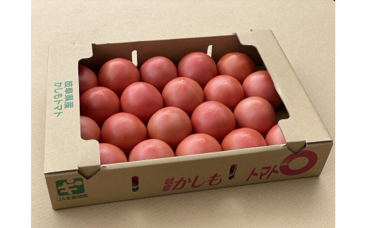 食べて実感 濃い味かしもトマト約4kg 東美濃農業協同組合【期間限定　選果場直送！】 F4N-1961