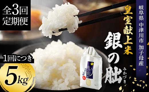 ＜テレビで紹介されました！＞令和8年産 新米 【全3回定期便】皇室献上米『銀の朏』5kg 中津川市加子母産 栽培期間中化学肥料不使用 お米 精米 F4N-2904
