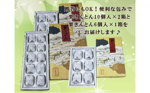 中津川銘菓：栗きんとん26個（10個入×2箱+6個入×1箱）[秋季限定] 信玄堂 【2027年1月お届け】 F4N-2885