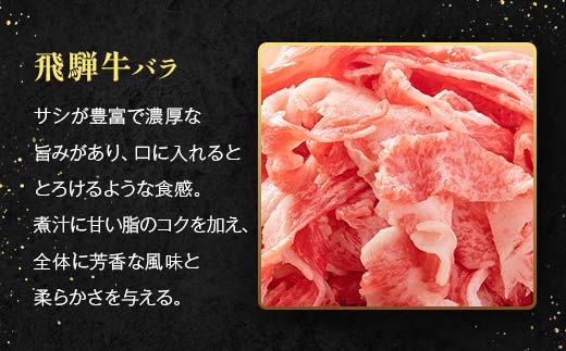 「肉の芸術品」飛騨牛切り落とし（モモ、肩、バラ）500g（250g×2）【用途は様々！焼肉、BBQ、すき焼き、煮物、牛丼、炒め物など】 F4N-2857
