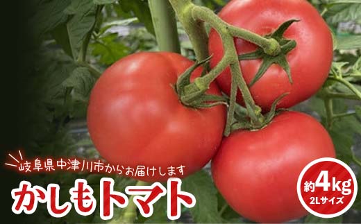 食べて実感 濃い味かしもトマト約4kg 東美濃農業協同組合【期間限定　選果場直送！】 F4N-1961