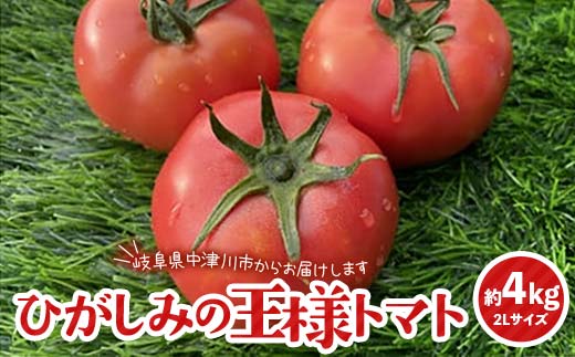 赤熟もぎりのひがしみの王様トマト約4kg 東美濃農業協同組合【期間限定　選果場直送！】 F4N-1962