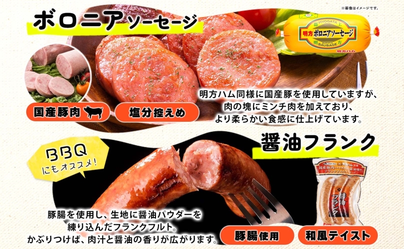 明方 ハム Cセット ボロニア ソーセージ フランクフルト JA ブランド 豚肉 お肉 国産 熟成 塩分 控えめ 豚腸 バーベキュー BBQ 加工品 お取り寄せ 贈答 ギフト 送料無料 めぐみの農業協同組合 岐阜県 美濃市