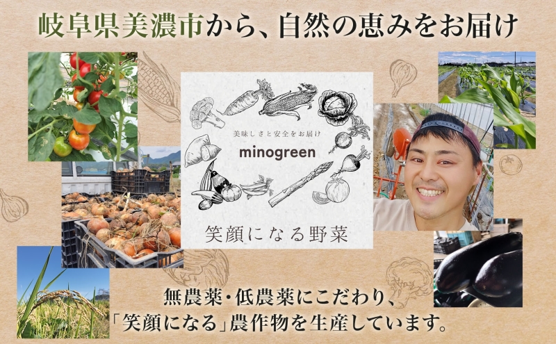 ＜先行予約＞令和8年産 はつしも 精米 10kg×1袋 低農薬 清流育ち 新米 お米 白米 米 ごはん 米 ご飯 ハツシモ R8年産 あっさり ふっくら ブランド米 大粒 幻の米 お取り寄せ 産地直送 送料無料 美濃グリーン 岐阜県 美濃市