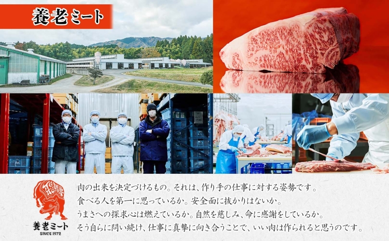飛騨牛 サーロインブロック 5kg サーロイン ブロック サーロイン肉 ブロック肉 サーロインステーキ ローストビーフ ステーキ 国産 国産牛 和牛 肉 お肉 牛 ビーフ 日本産 和牛ステーキ ご当地 お取り寄せグルメ 送料無料 岐阜県 美濃市