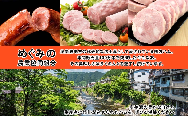 明方 ハム 5本 プレスハム JA ブランド 豚肉 お肉 国産 熟成 塩分 控えめ 豚腸 バーベキュー BBQ 加工品 お取り寄せ 贈答 ギフト 送料無料 めぐみの農業協同組合 岐阜県 美濃市