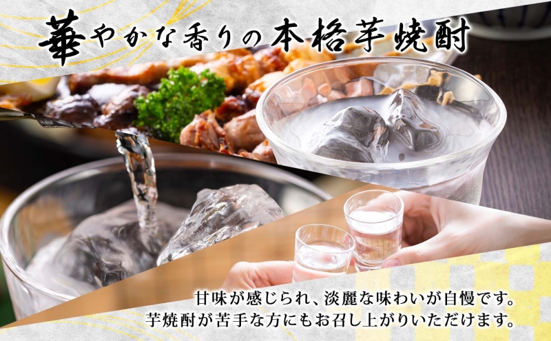 定期便 2ヶ月毎計6回 本格 芋焼酎 えっきょう 25度 720ml 瓶 2本 焼酎 乙類 芋焼酎 いも焼酎 芋 いも イモ 蒸留酒 25度 お酒 晩酌 家飲み 贈り物 プレゼント 父の日 敬老の日 誕生日 お祝い 御礼 お礼 贈答用 ギフト