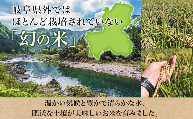 ＜先行予約＞令和8年産 はつしも 精米 10kg×1袋 低農薬 清流育ち 新米 お米 白米 米 ごはん 米 ご飯 ハツシモ R8年産 あっさり ふっくら ブランド米 大粒 幻の米 お取り寄せ 産地直送 送料無料 美濃グリーン 岐阜県 美濃市