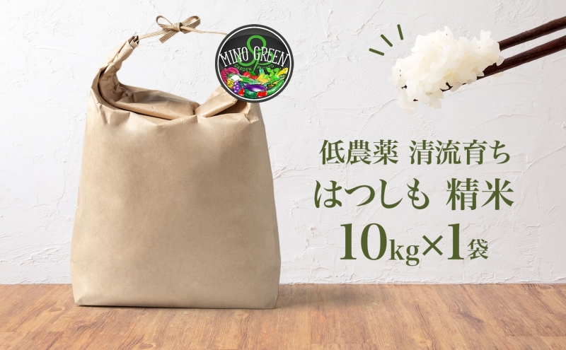 ＜先行予約＞令和8年産 はつしも 精米 10kg×1袋 低農薬 清流育ち 新米 お米 白米 米 ごはん 米 ご飯 ハツシモ R8年産 あっさり ふっくら ブランド米 大粒 幻の米 お取り寄せ 産地直送 送料無料 美濃グリーン 岐阜県 美濃市