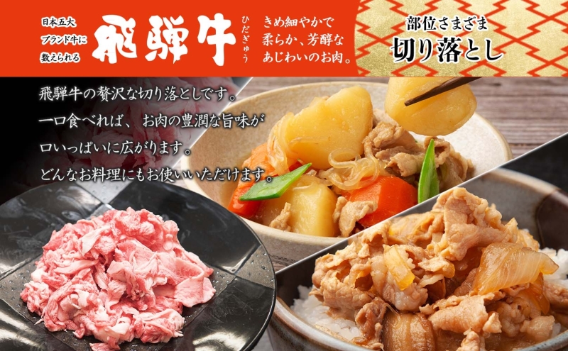 飛騨牛 切り落とし 280g×1P 国産 国産牛 牛肉 肉 牛 日本産 和牛 BBQ 焼き肉 赤身 小分け 便利 冷凍保存 一人暮らし 牛丼 肉じゃが 煮物 焼く 簡単調理 薄切り 飛騨牛切り落とし カレー ビーフシチュー 贈答品 お取り寄せ 送料無料 岐阜県 美濃市