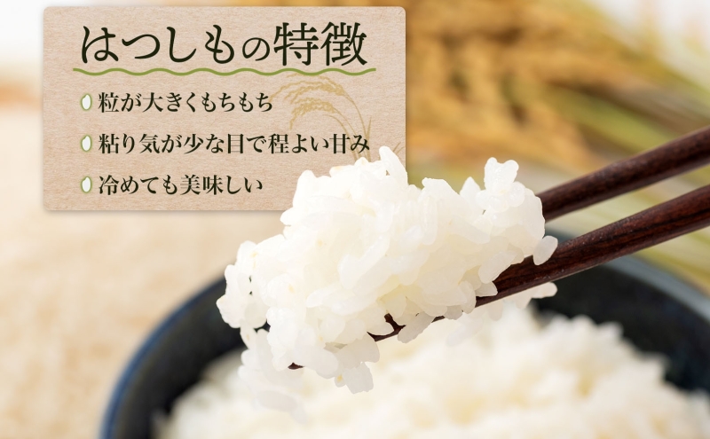 ＜先行予約＞令和8年産 はつしも 精米 10kg×1袋 低農薬 清流育ち 新米 お米 白米 米 ごはん 米 ご飯 ハツシモ R8年産 あっさり ふっくら ブランド米 大粒 幻の米 お取り寄せ 産地直送 送料無料 美濃グリーン 岐阜県 美濃市