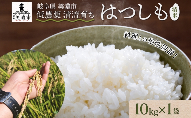 ＜先行予約＞令和8年産 はつしも 精米 10kg×1袋 低農薬 清流育ち 新米 お米 白米 米 ごはん 米 ご飯 ハツシモ R8年産 あっさり ふっくら ブランド米 大粒 幻の米 お取り寄せ 産地直送 送料無料 美濃グリーン 岐阜県 美濃市