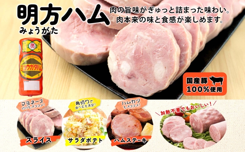 明方 ハム Cセット ボロニア ソーセージ フランクフルト JA ブランド 豚肉 お肉 国産 熟成 塩分 控えめ 豚腸 バーベキュー BBQ 加工品 お取り寄せ 贈答 ギフト 送料無料 めぐみの農業協同組合 岐阜県 美濃市