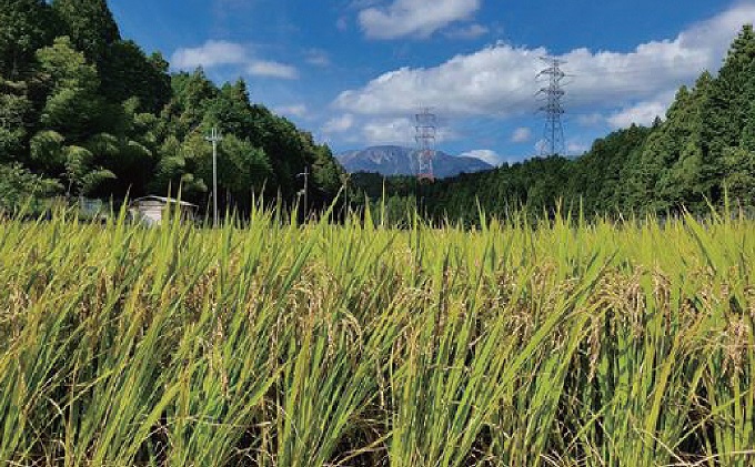令和7年度 関ケ原町中挾地区限定米 コシヒカリ 精米 10kg 白米