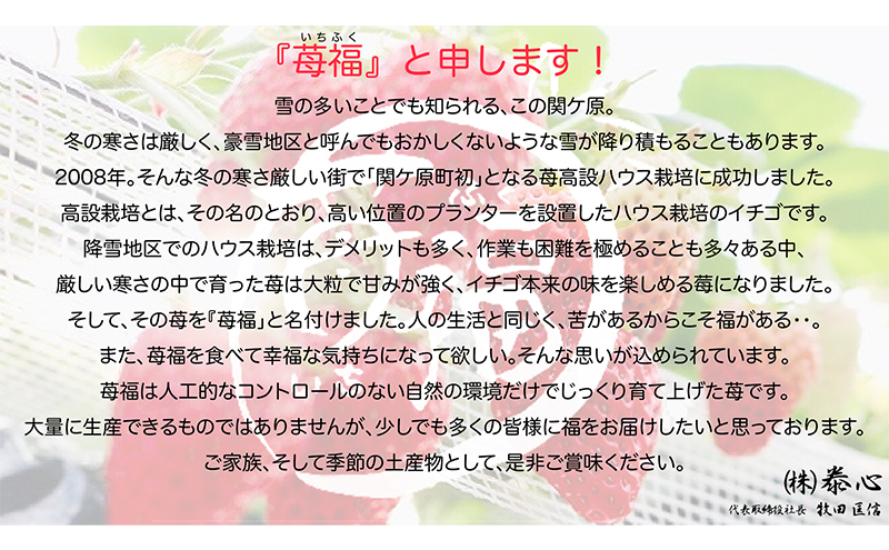 【関ケ原町産苺福使用】苺福みるくぷりん　5個セット