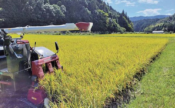 令和7年度 関ケ原町中挾地区限定米 コシヒカリ 精米 10kg 白米