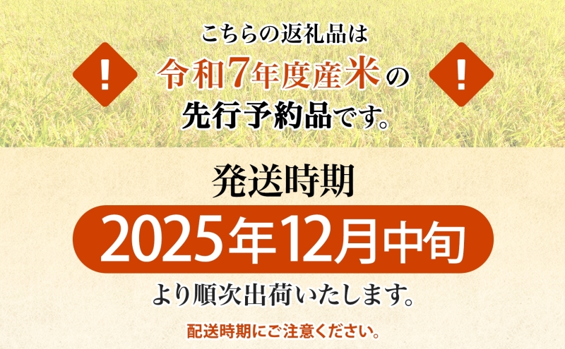 R7年産  特選米 ハツシモ 精米 10kg ×1袋 お米 米 白米 ごはん  精白米 ご飯 はつしも 令和7年産 ブランド米 低農薬 お取り寄せ 産地直送 クリーンファームまき 送料無料 岐阜県 安八町