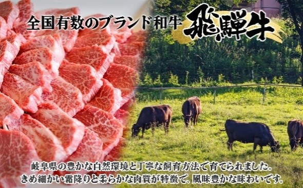 【6ヵ月定期便】シャトーブリアン約300g（約150g×2）