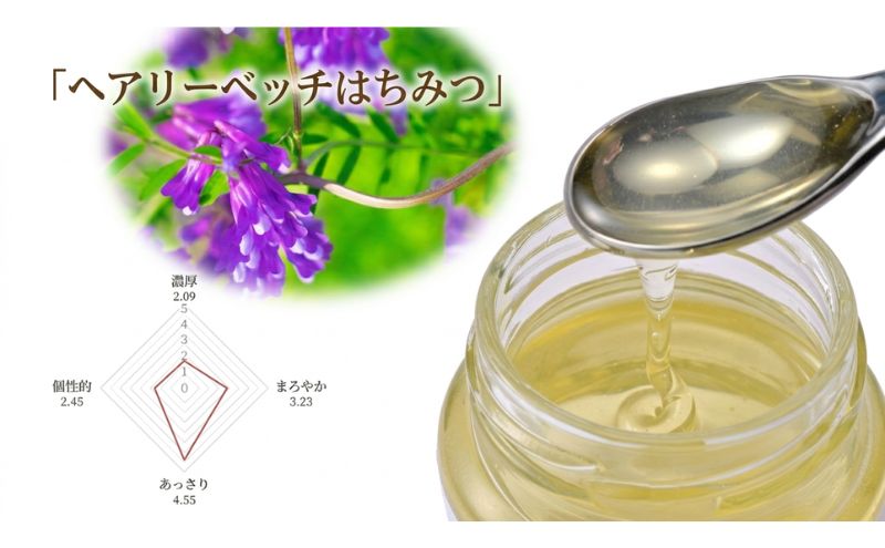 養蜂家のとっておき 国産 はちみつ 3種 食べ比べ 各120g×2本 計6本 蜂蜜 ハチミツ りんご ヘアリーベッチ そば ハニー 養蜂 養蜂家 蜜源 ギフト 贈答用 お取り寄せ 日新蜂蜜 送料無料 岐阜県 安八町
