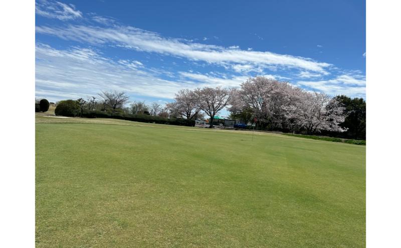 あんぱちパブリックゴルフクラブ利用券 14000円 チケット クーポン 利用権 スポーツ ゴルフ ゴルフ場 プレーチケット あんぱちパブリックゴルフクラブ 安八町 岐阜県