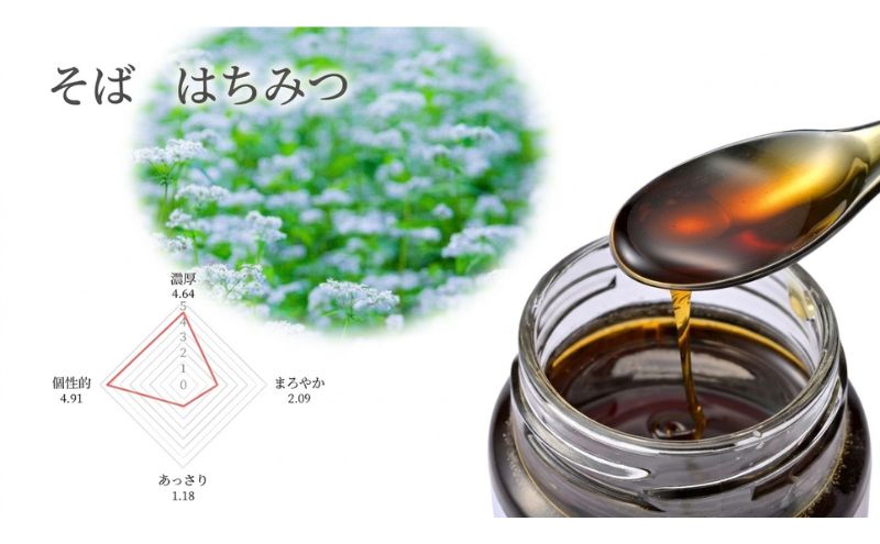 養蜂家のとっておき 国産 はちみつ 3種 食べ比べ 各120g×2本 計6本 蜂蜜 ハチミツ りんご ヘアリーベッチ そば ハニー 養蜂 養蜂家 蜜源 ギフト 贈答用 お取り寄せ 日新蜂蜜 送料無料 岐阜県 安八町