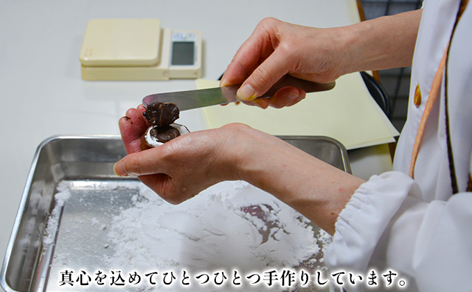 ケーキ大福　8個入り 和菓子 クリーム大福 パインアップル カフェオレ 抹茶 チョコ おやつ お茶請け お土産 手土産 お取り寄せ 