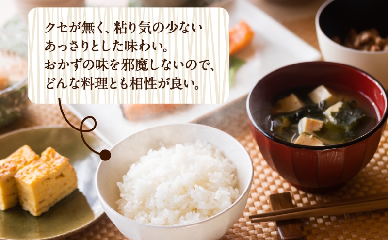 R7年産  特選米 ハツシモ 精米 10kg ×1袋 お米 米 白米 ごはん  精白米 ご飯 はつしも 令和7年産 ブランド米 低農薬 お取り寄せ 産地直送 クリーンファームまき 送料無料 岐阜県 安八町