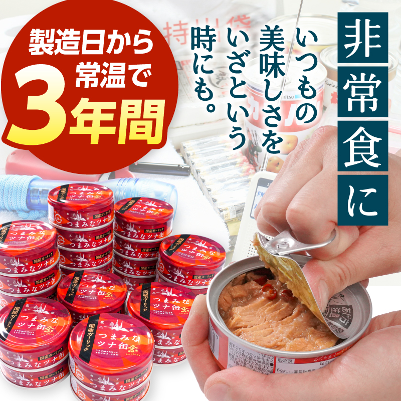 a15-554　焼津特産 国産 ガーリックツナ 1箱 (80g×24缶入) 大容量 ツナ缶 缶詰 箱買い 常温保存 非常食