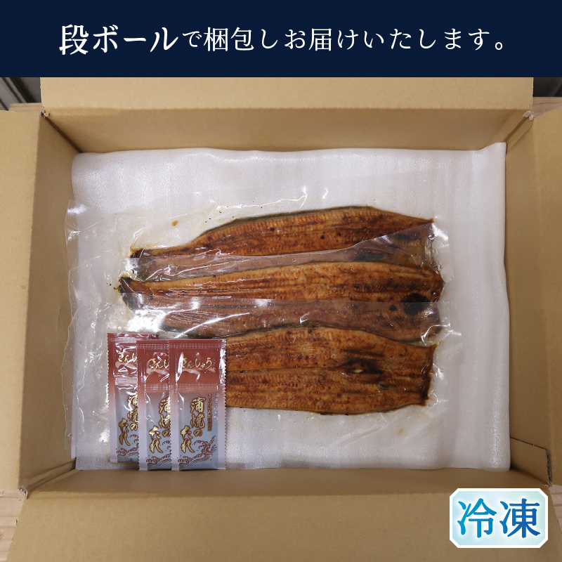 a50-152　【定期便】静岡県産　うなぎ蒲焼き 3本×2回