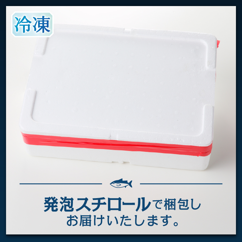 a20-493　本マグロ トロ ブツ 1kg