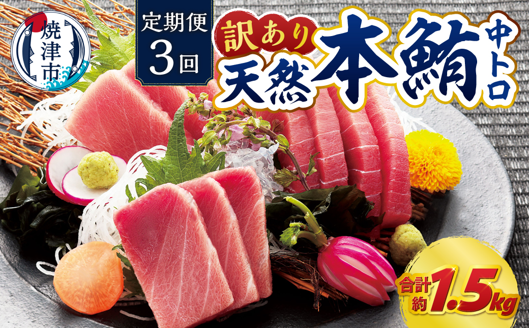 a42-018　訳あり　本マグロ 天然 中トロ 500g【定期便3回】