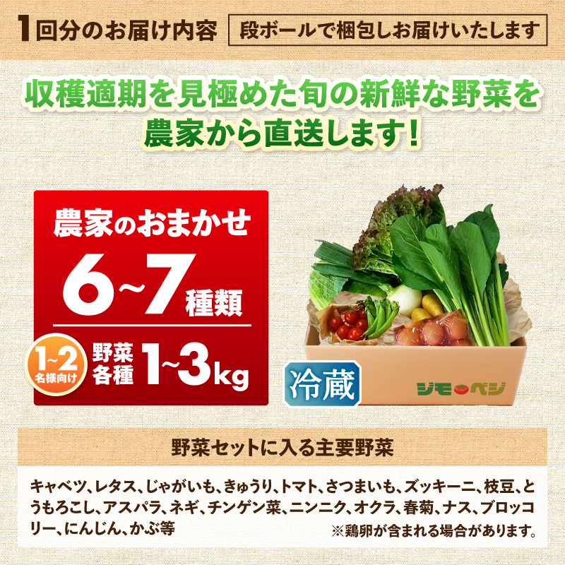 a90-009　【定期便 全12回】ジモベジ 野菜 ハーフセット