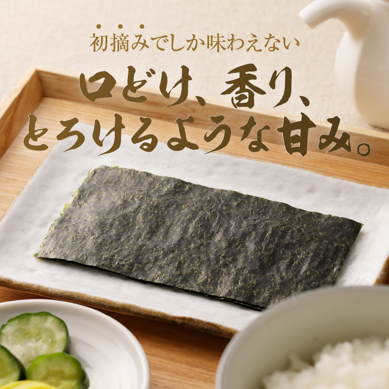 a20-252　訳あり 海苔 セット 寿司 はね 焼のり 全型81枚