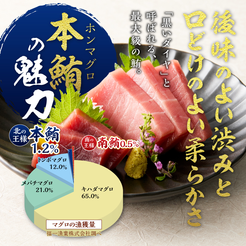 a14-150　訳あり　本マグロ 天然 中トロ 500g
