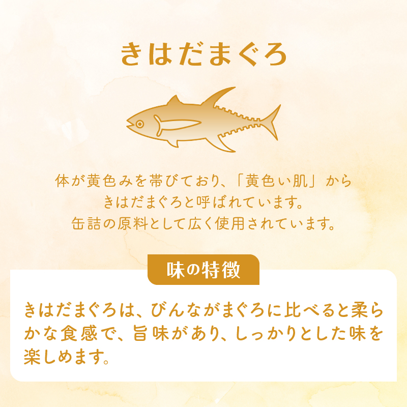 a18-115　食塩不使用シーチキンLフレーク　70g　24缶
