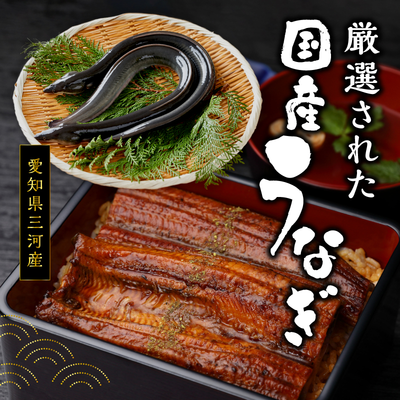 a60-043　【定期便 5回】特選 国産うなぎ蒲焼定期便 約190g×5回