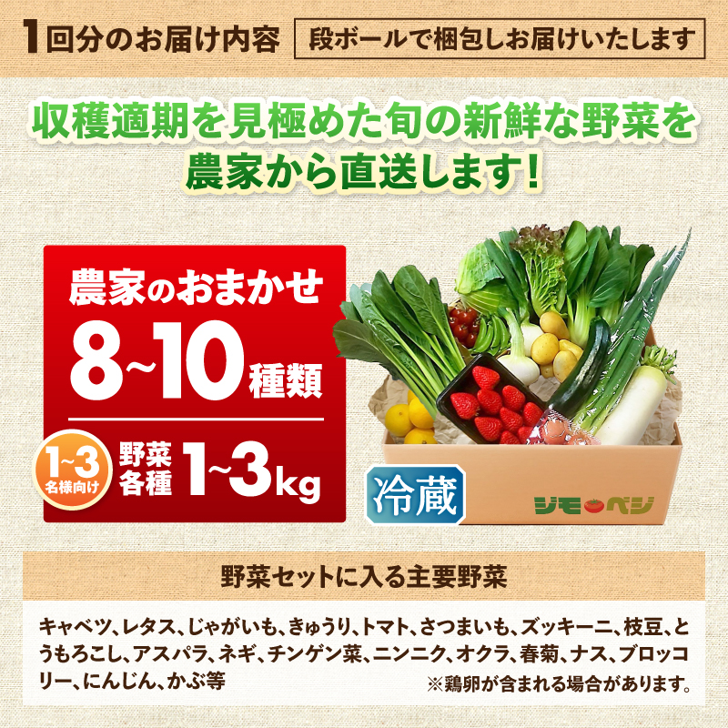 a20-447　【定期便 全2回】ジモベジ 野菜 セット