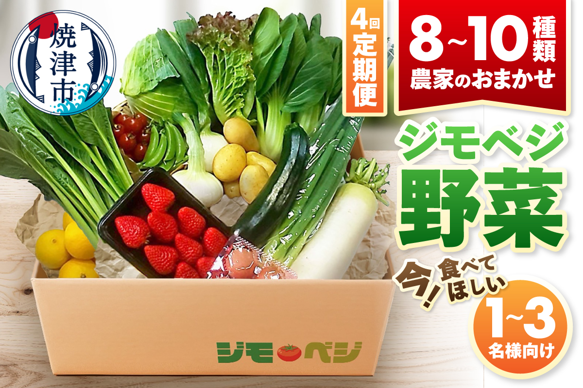 a40-103　【定期便 全4回】ジモベジ 野菜 セット