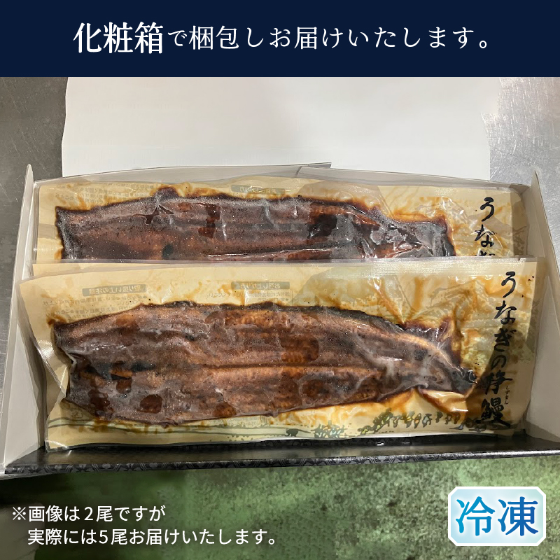 a40-098　静岡県産 うなぎ 長焼き 140g 5尾