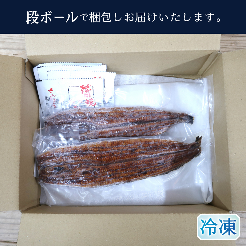 a15-712　静岡県産 うなぎ 蒲焼き 2本