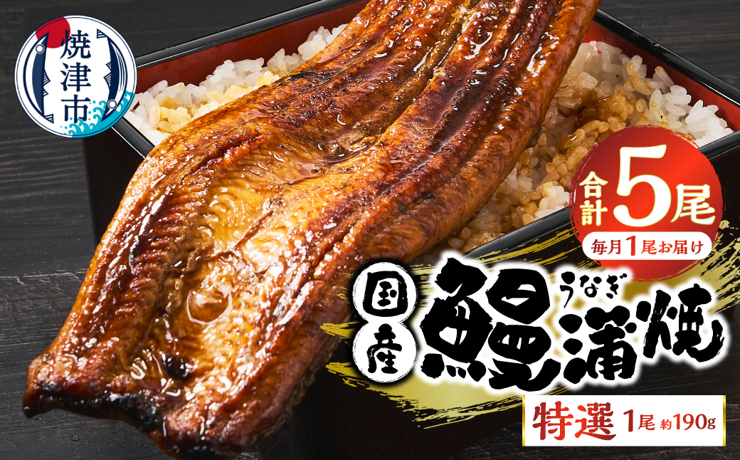 a60-043　【定期便 5回】特選 国産うなぎ蒲焼定期便 約190g×5回