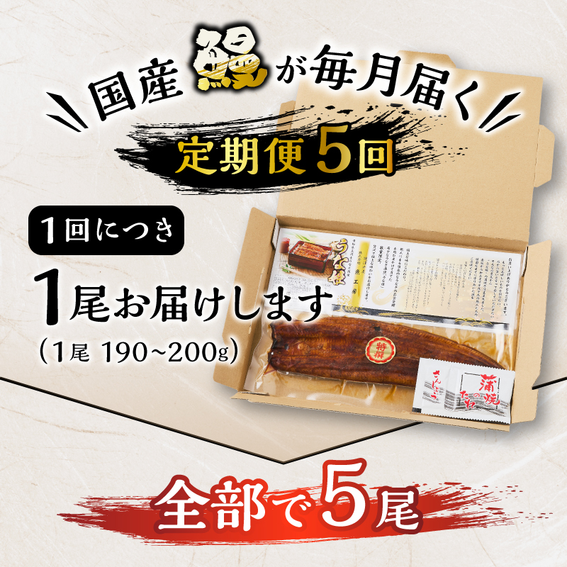 a60-043　【定期便 5回】特選 国産うなぎ蒲焼定期便 約190g×5回