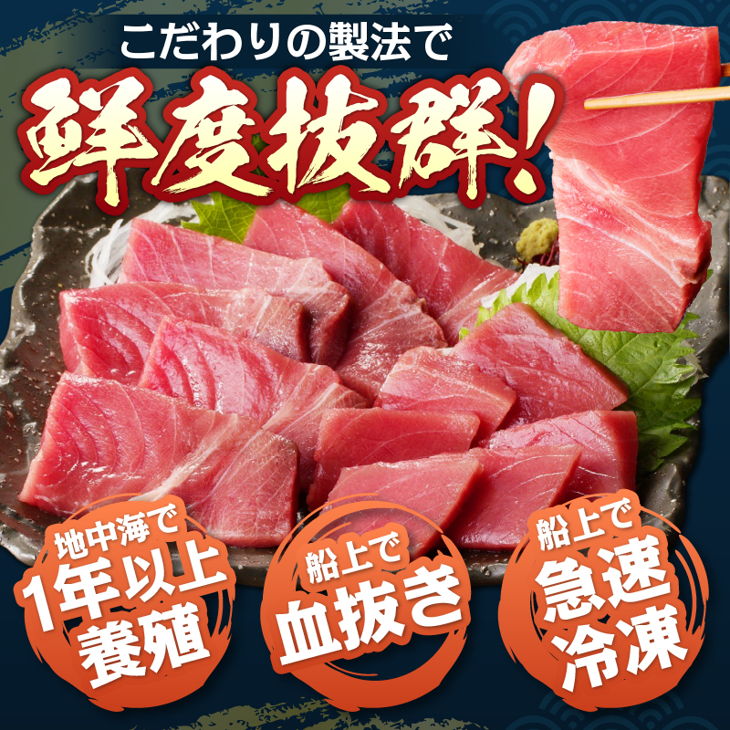 a20-493　本マグロ トロ ブツ 1kg