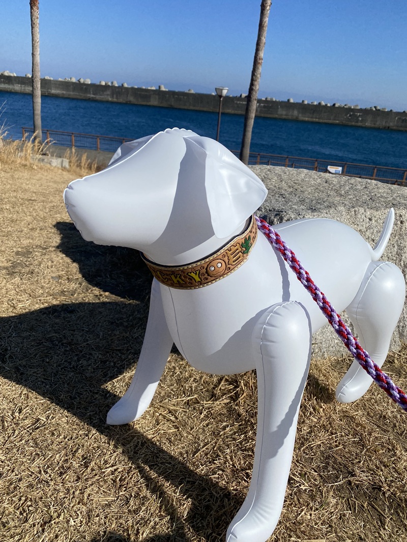 a79-002　ワイド幅首輪 大型犬　ハンドメイド