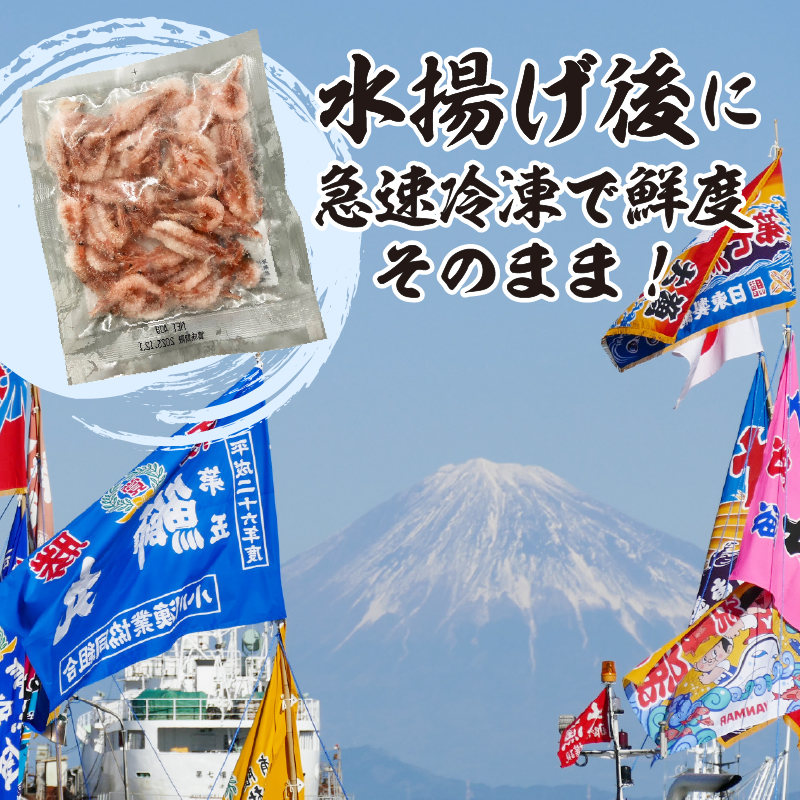 a12-327　静岡県漁連 お刺身用生桜えび