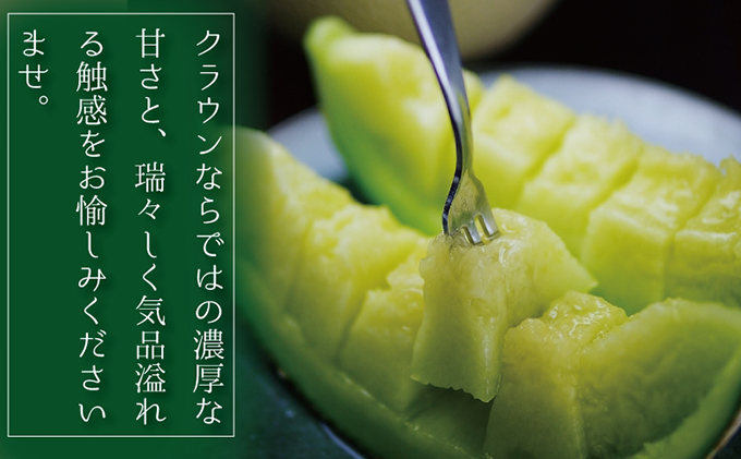 クラウンメロン（白等級）中玉　1玉入 果物類 メロン青肉 