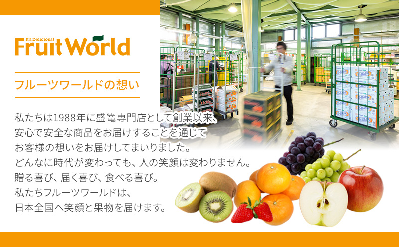 JA遠州中央 紅ほっぺ いちご 2パック 260g×2 遠中 静岡県 静岡 袋井市 袋井 イチゴ 苺 贈答 フルーツ 果物 くだもの 人気
